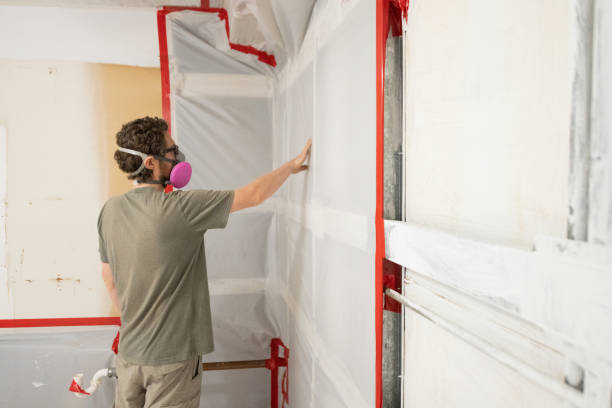 Best Residential Mold Inspection & Testing  in Waconia, MN