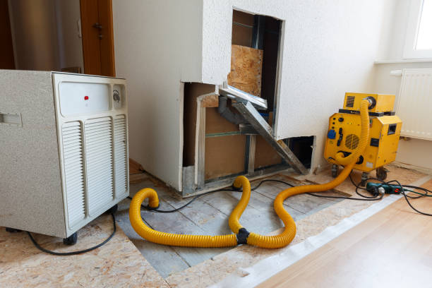 Best Post-Remediation Verification Testing  in Waconia, MN